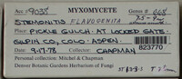 Image Associated With the Occurence